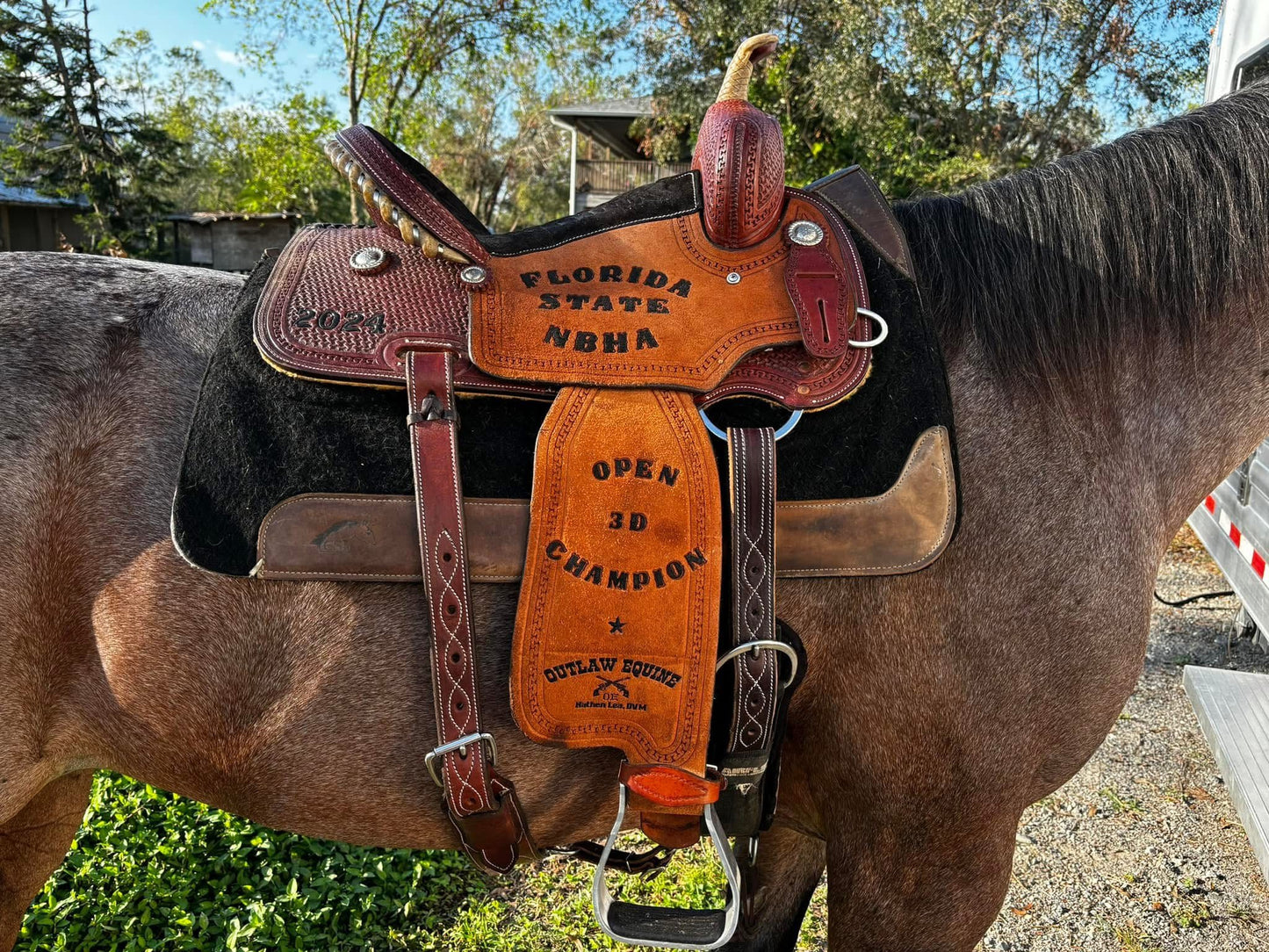 15” corriente saddle