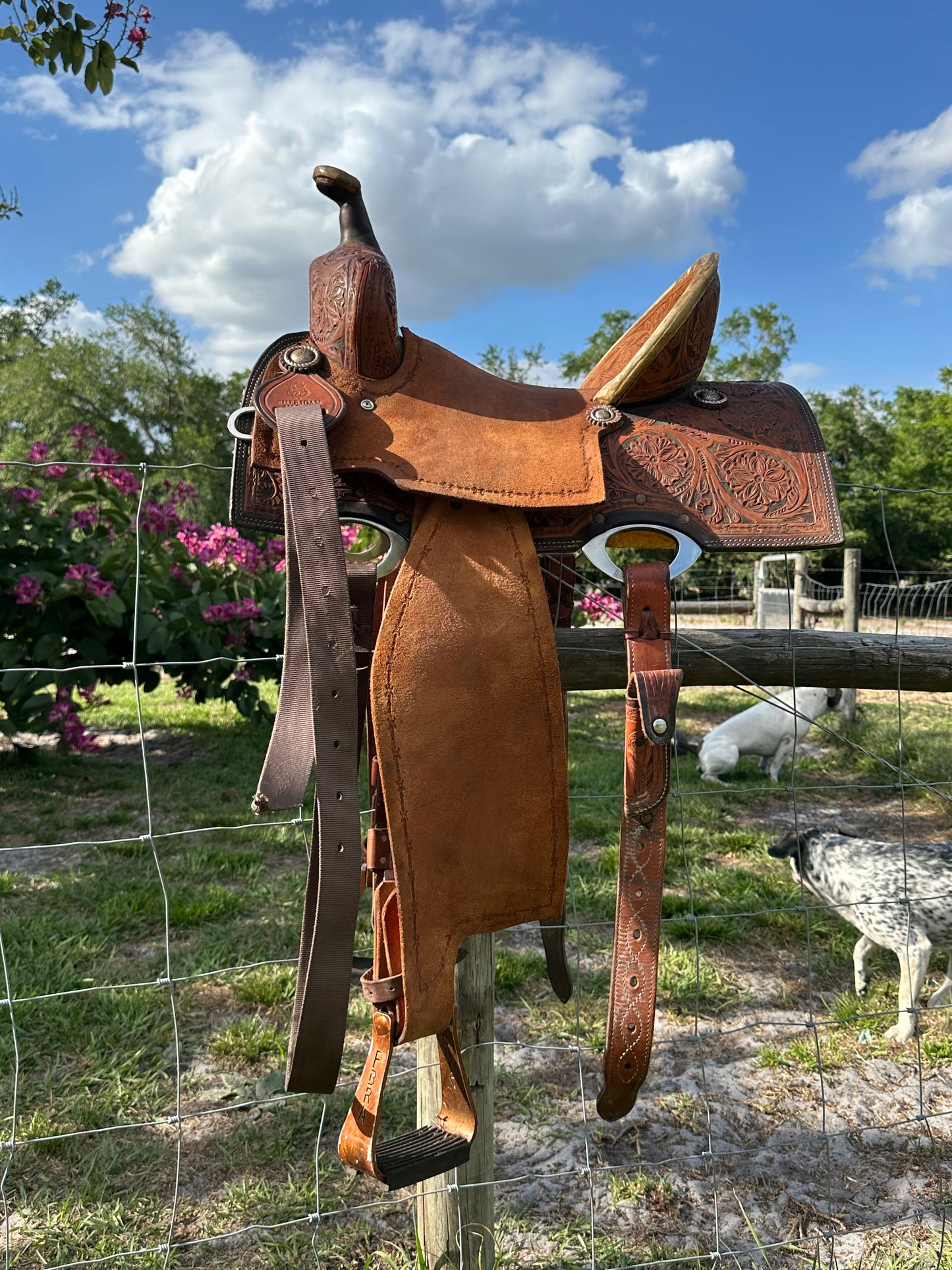 14” Sheridan barrel saddle