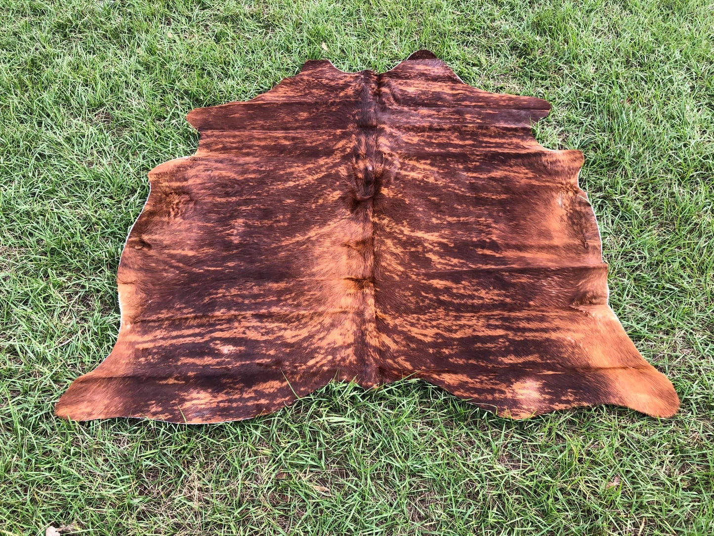 6’ x 5’” Brindle Cowhide