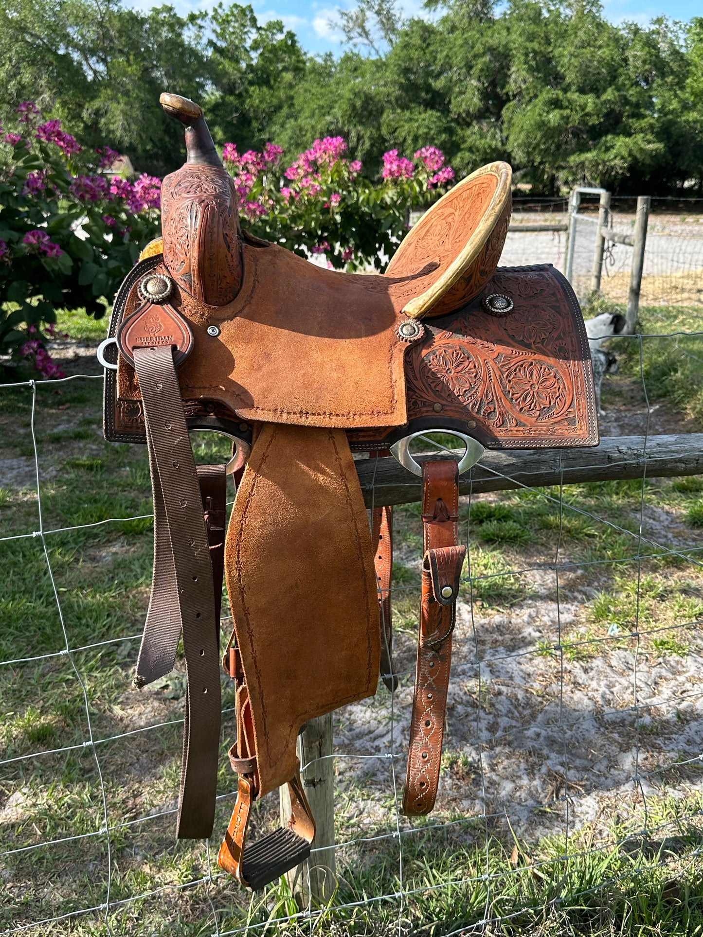 14” Sheridan barrel saddle