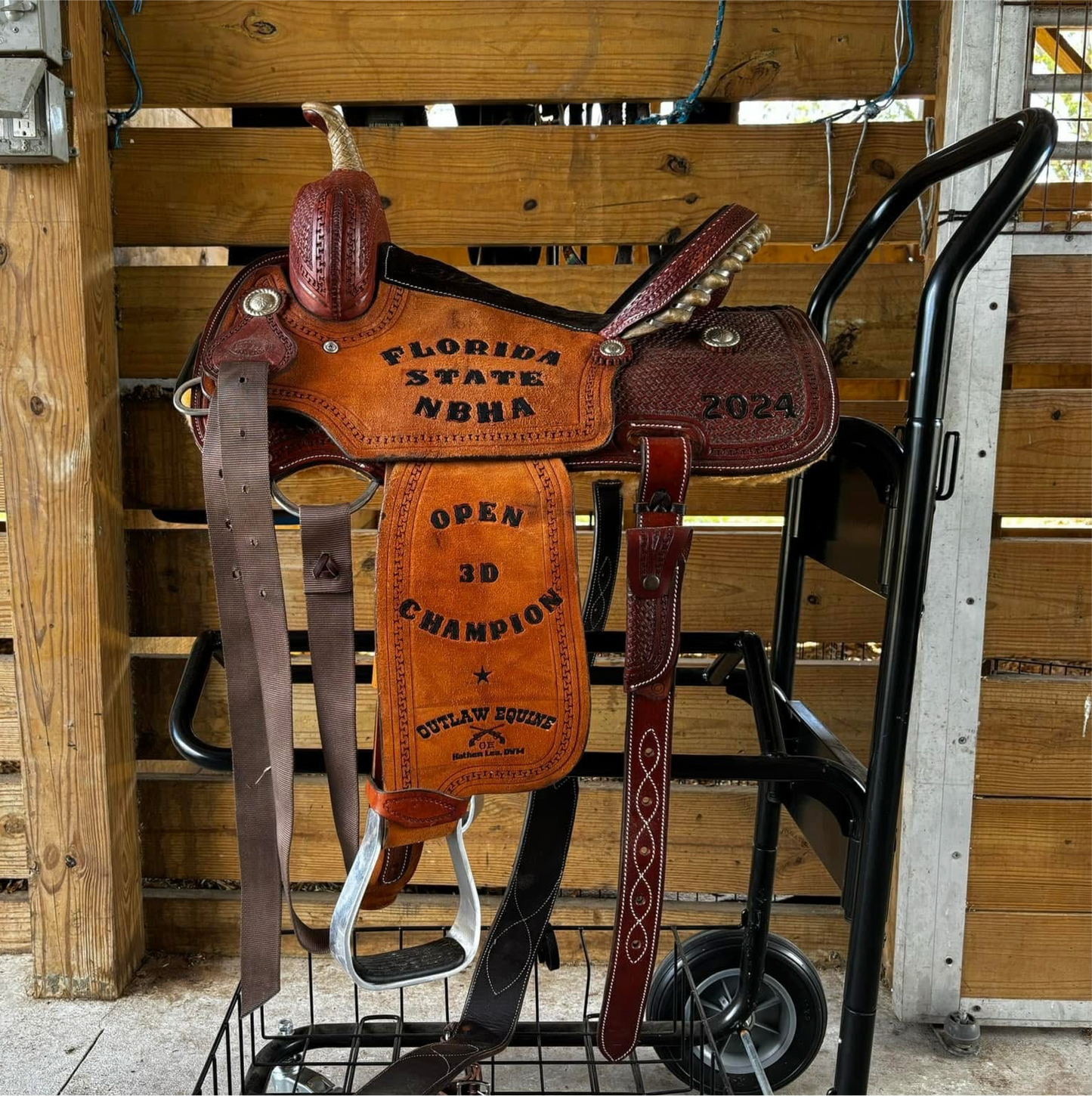 15” corriente saddle