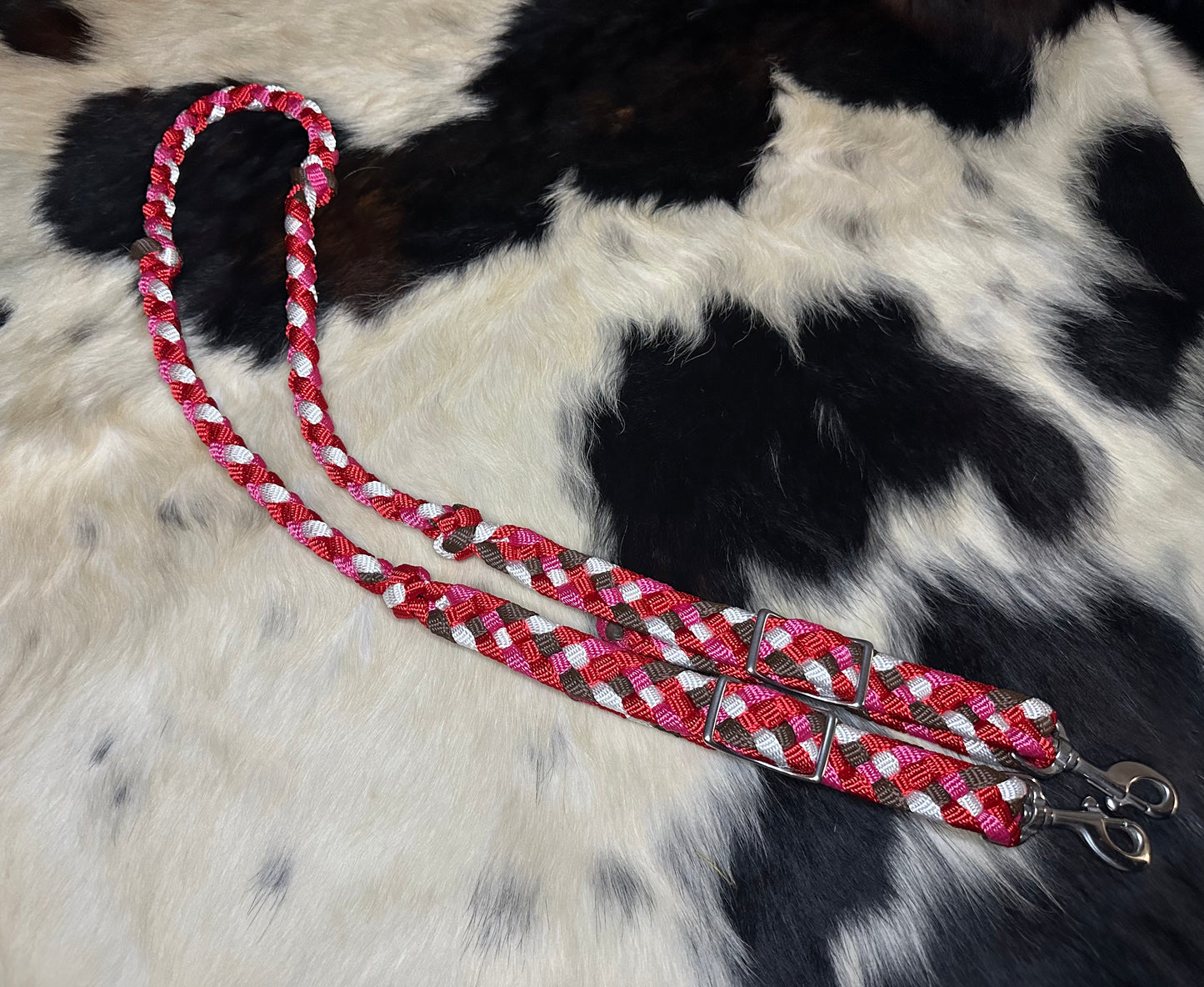 Reins101