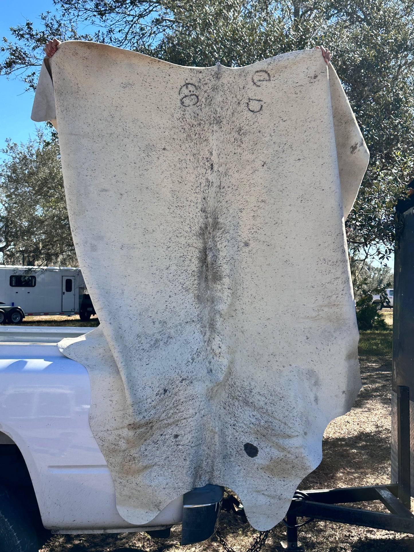 Salt and Peper cowhide #108