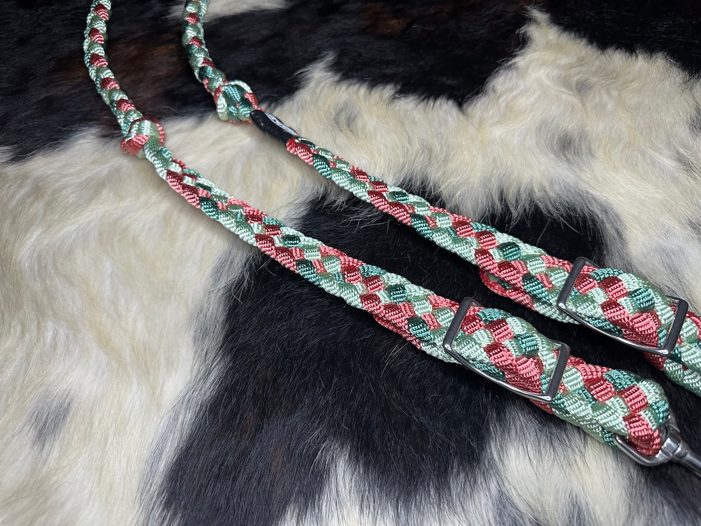 Reins104