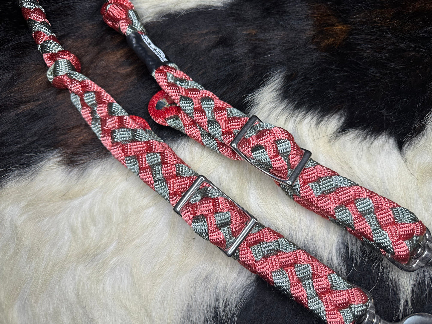 Reins107