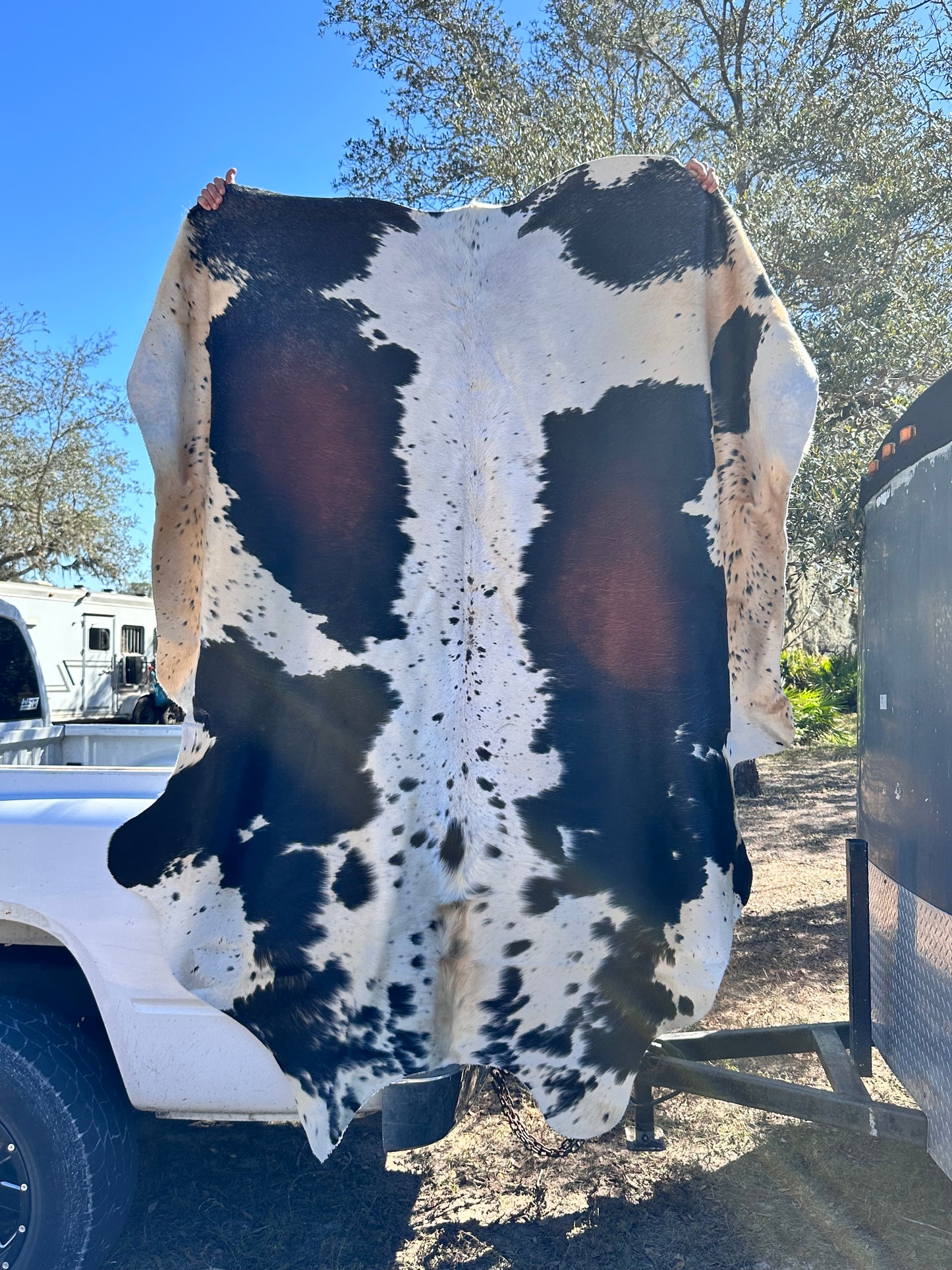 Salt & Pepper cowhide #110