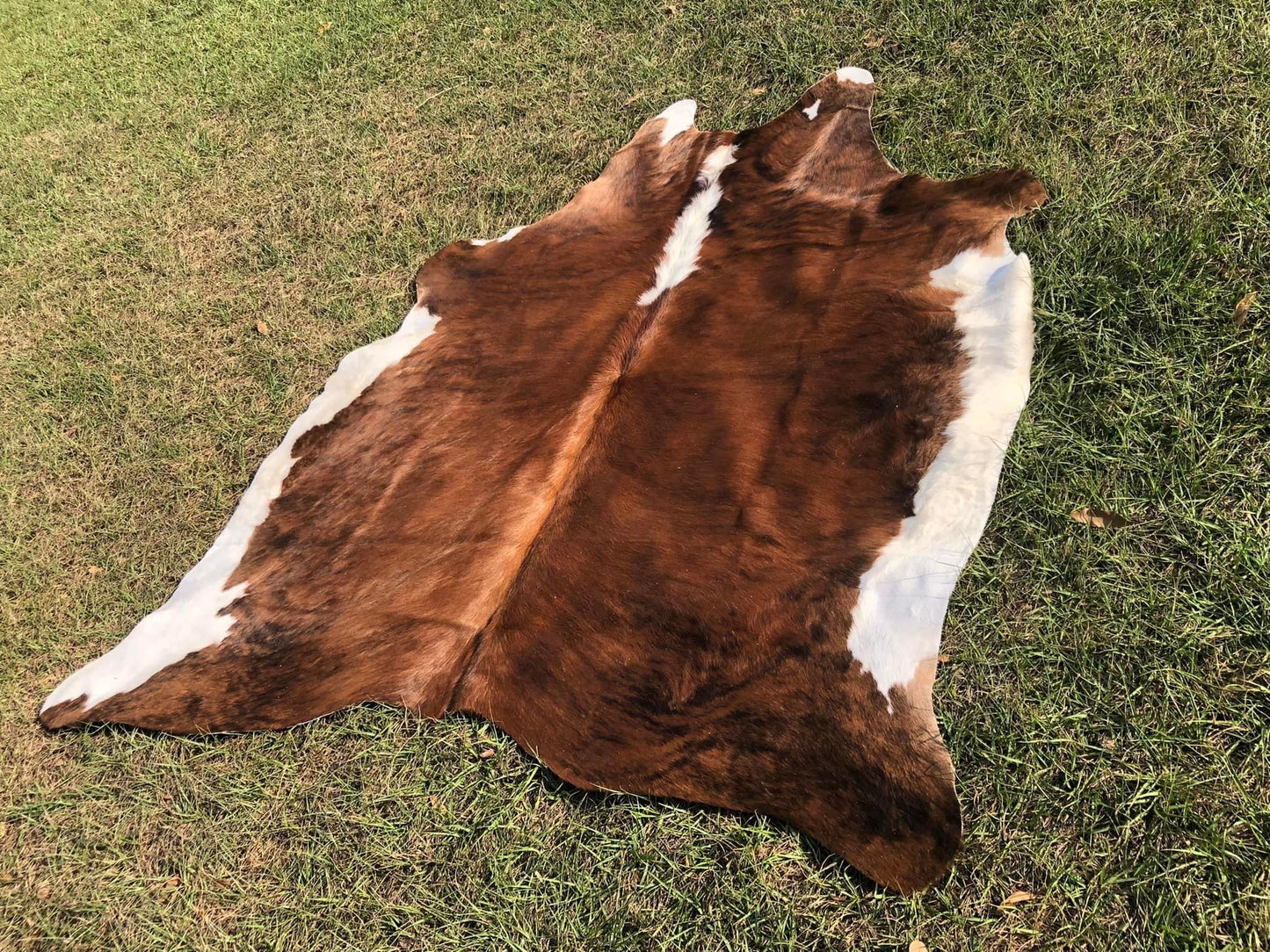 5’11” x 6’8” Cowhide