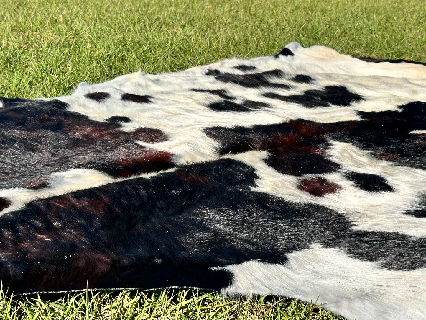 Tricolor cowhide #107