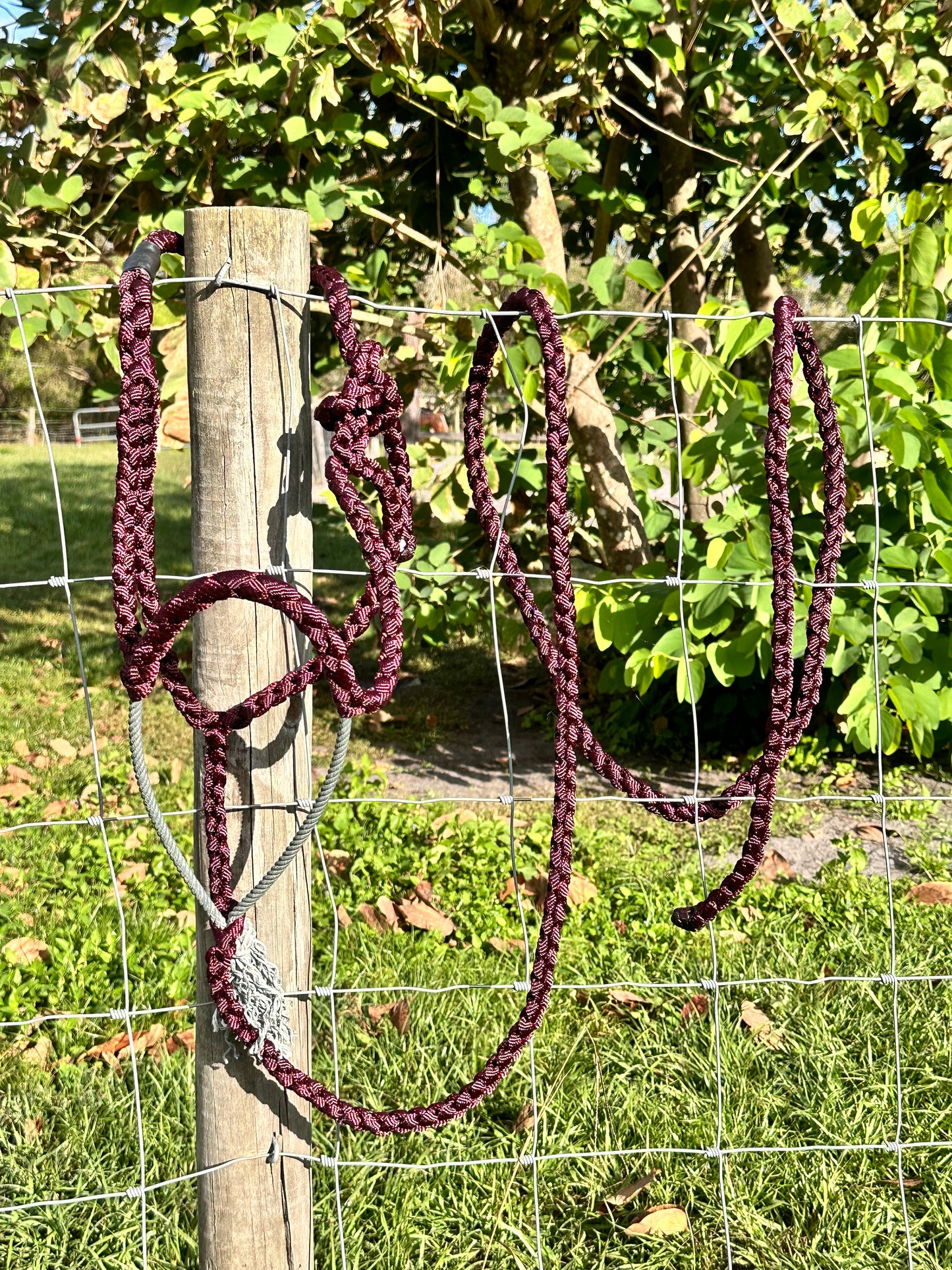MT34