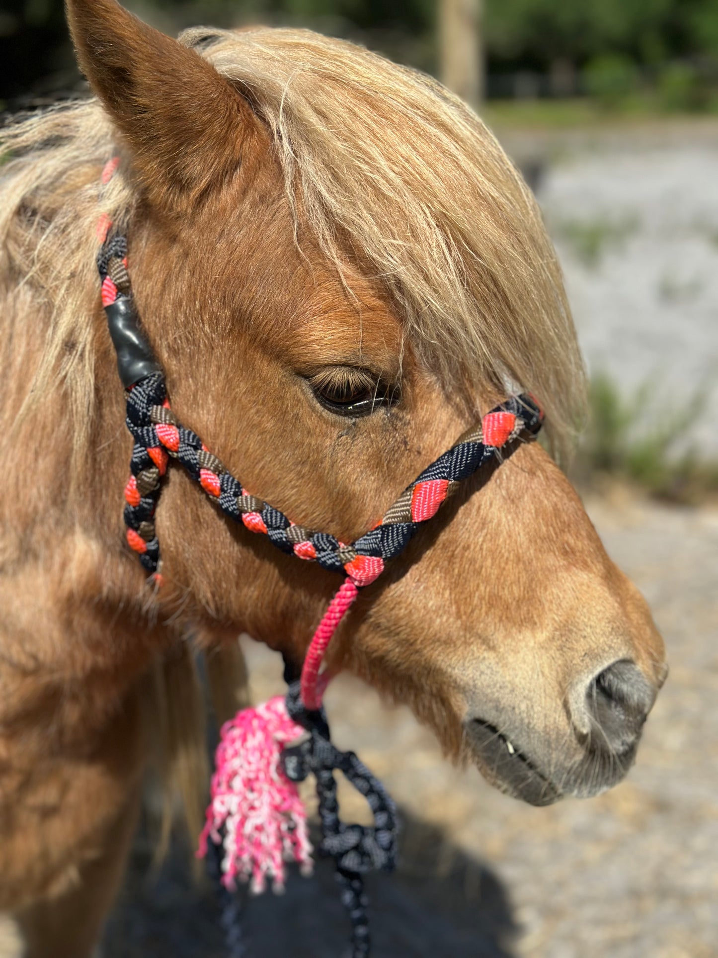 Mule tape halter (Mini halter) - pre order