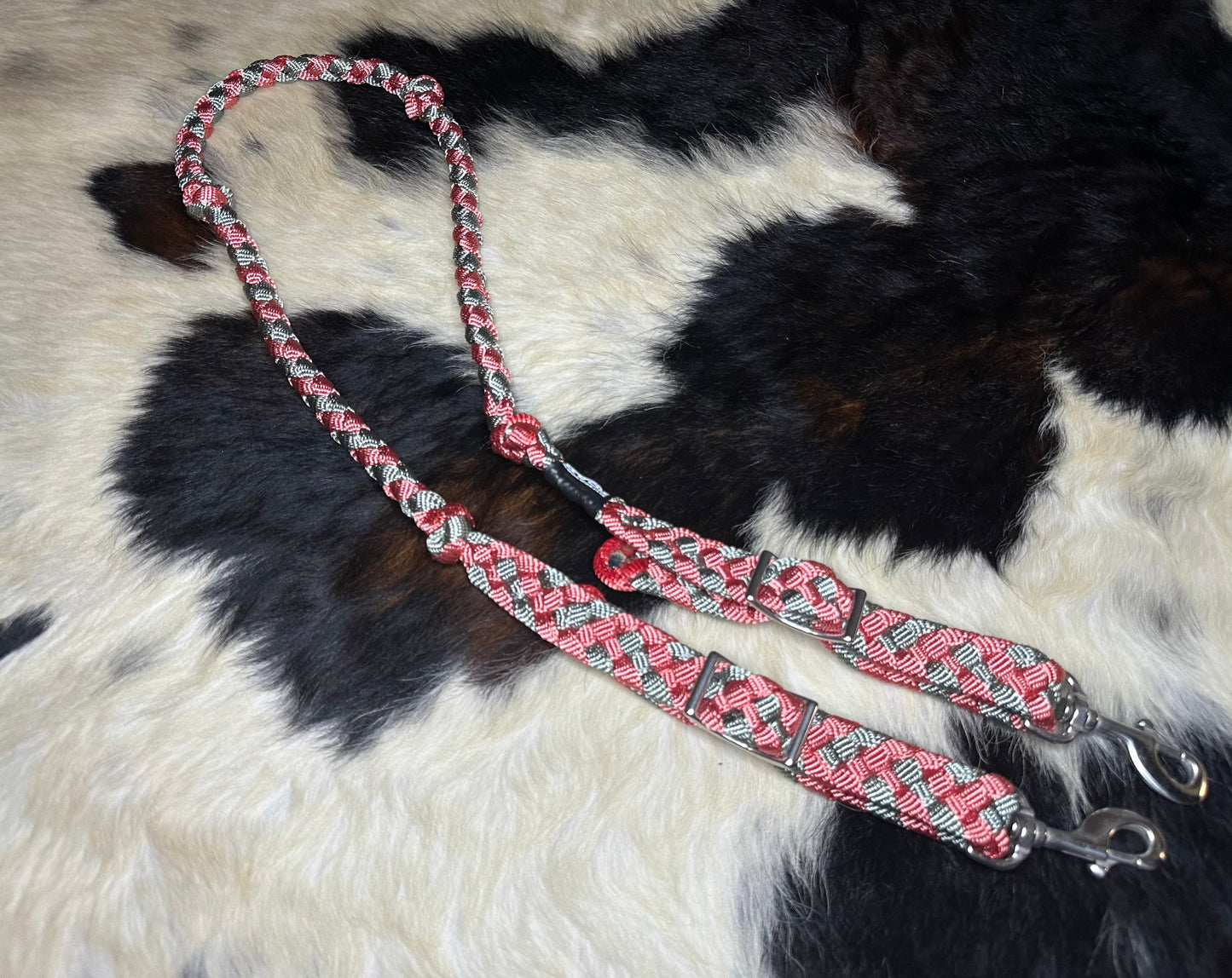 Reins107