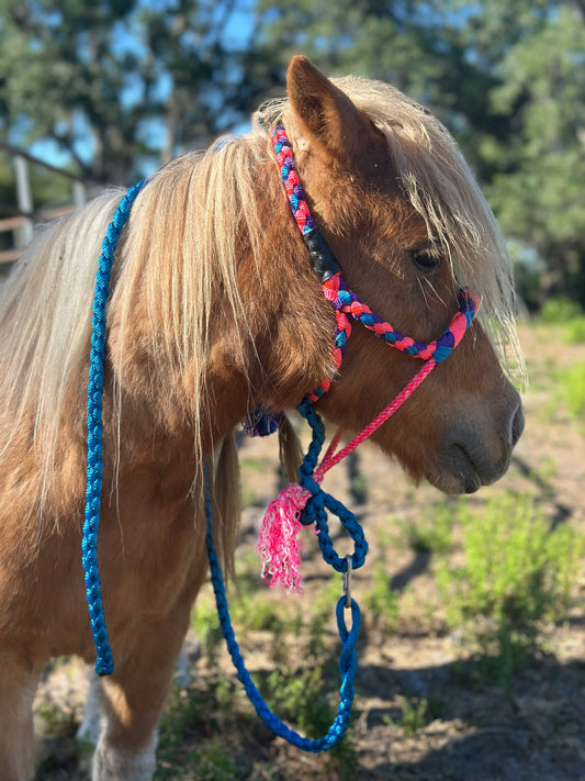Mule tape halter (Mini halter) - pre order