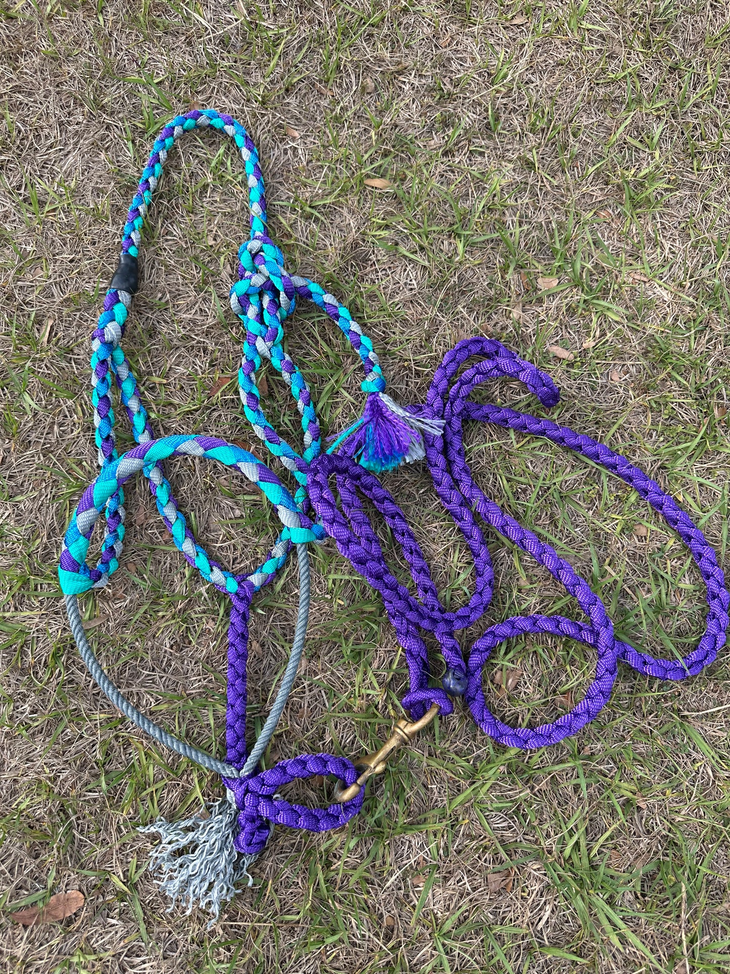 Mule tape halter - Pre order