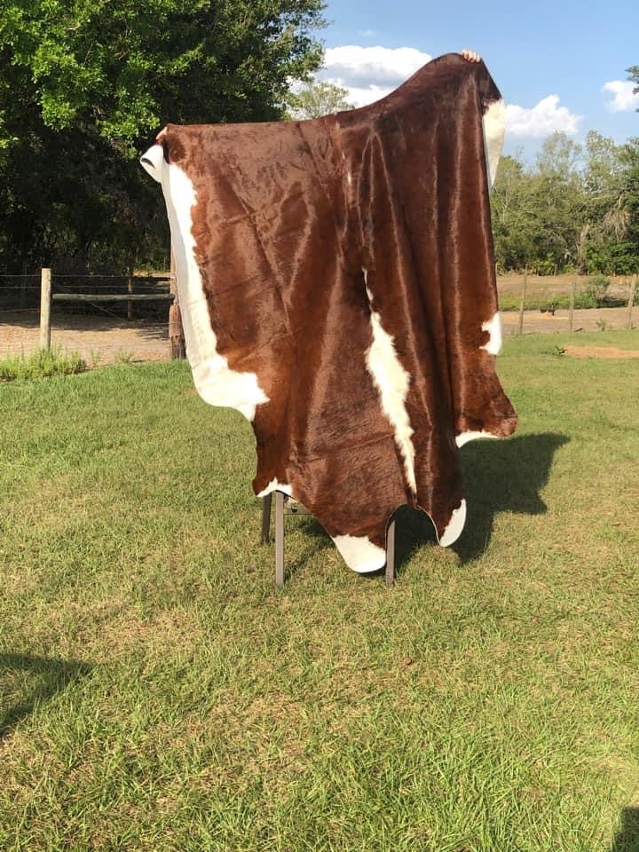 6’2” x 7’1” Cowhide