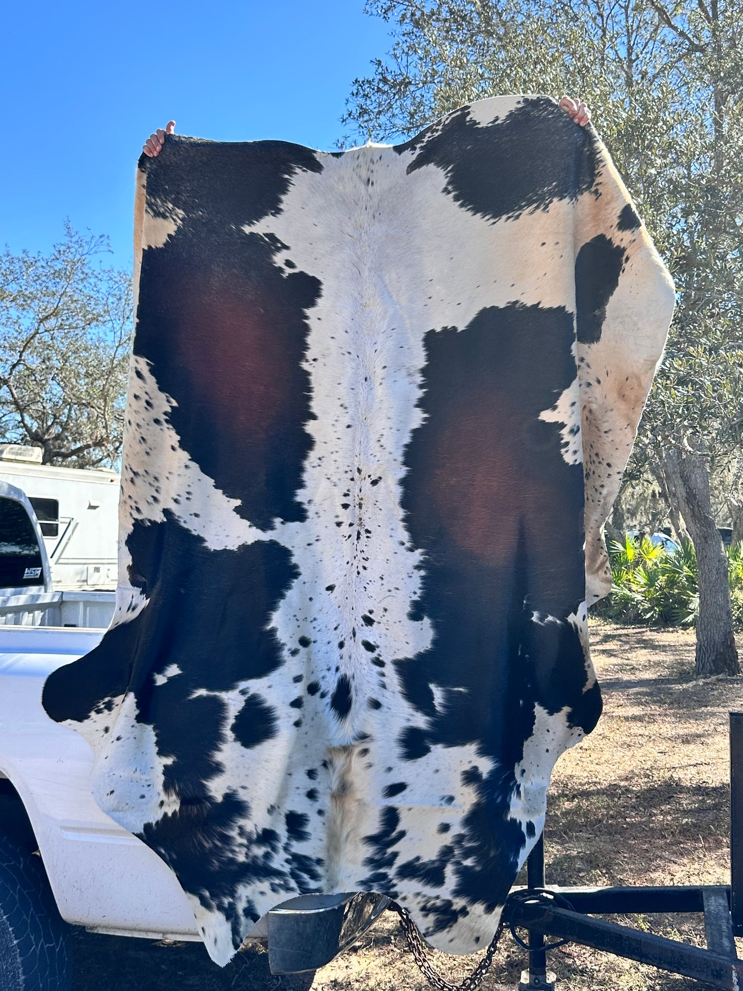 Salt & Pepper cowhide #110
