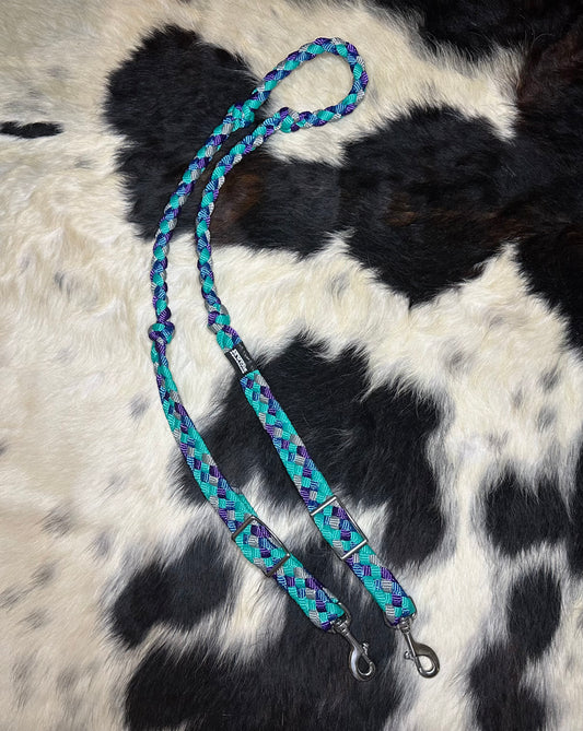 Reins102