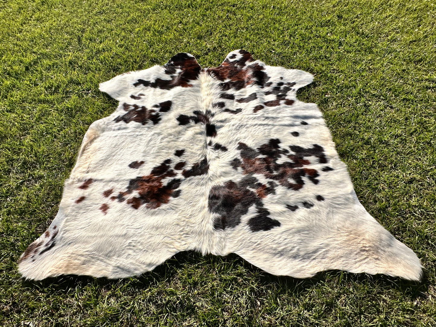 Tricolor cowhide #106