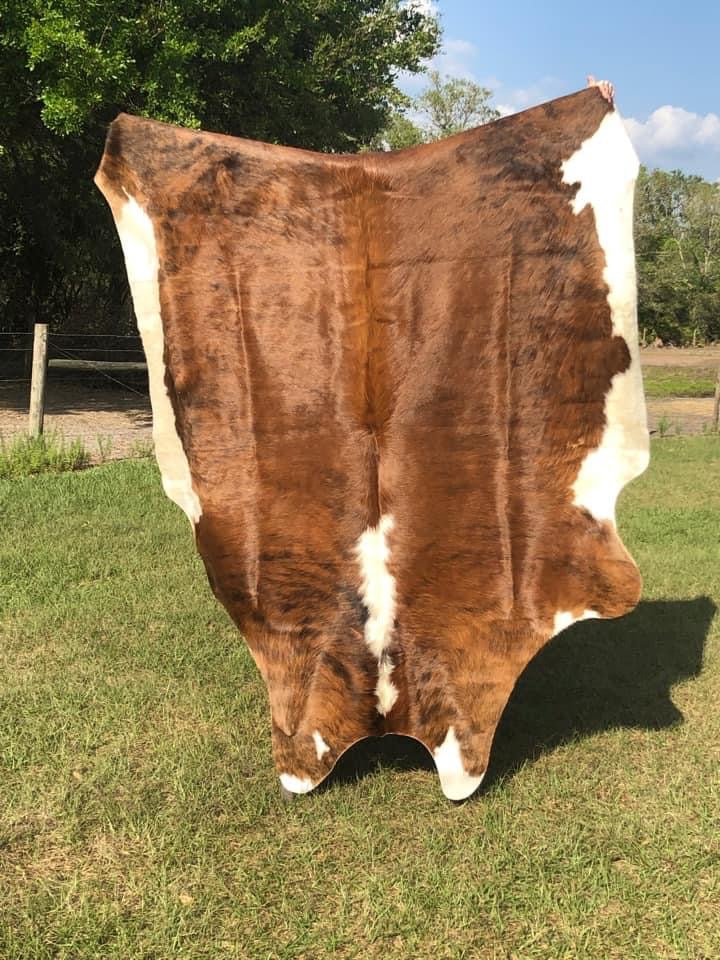 5’11” x 6’8” Cowhide