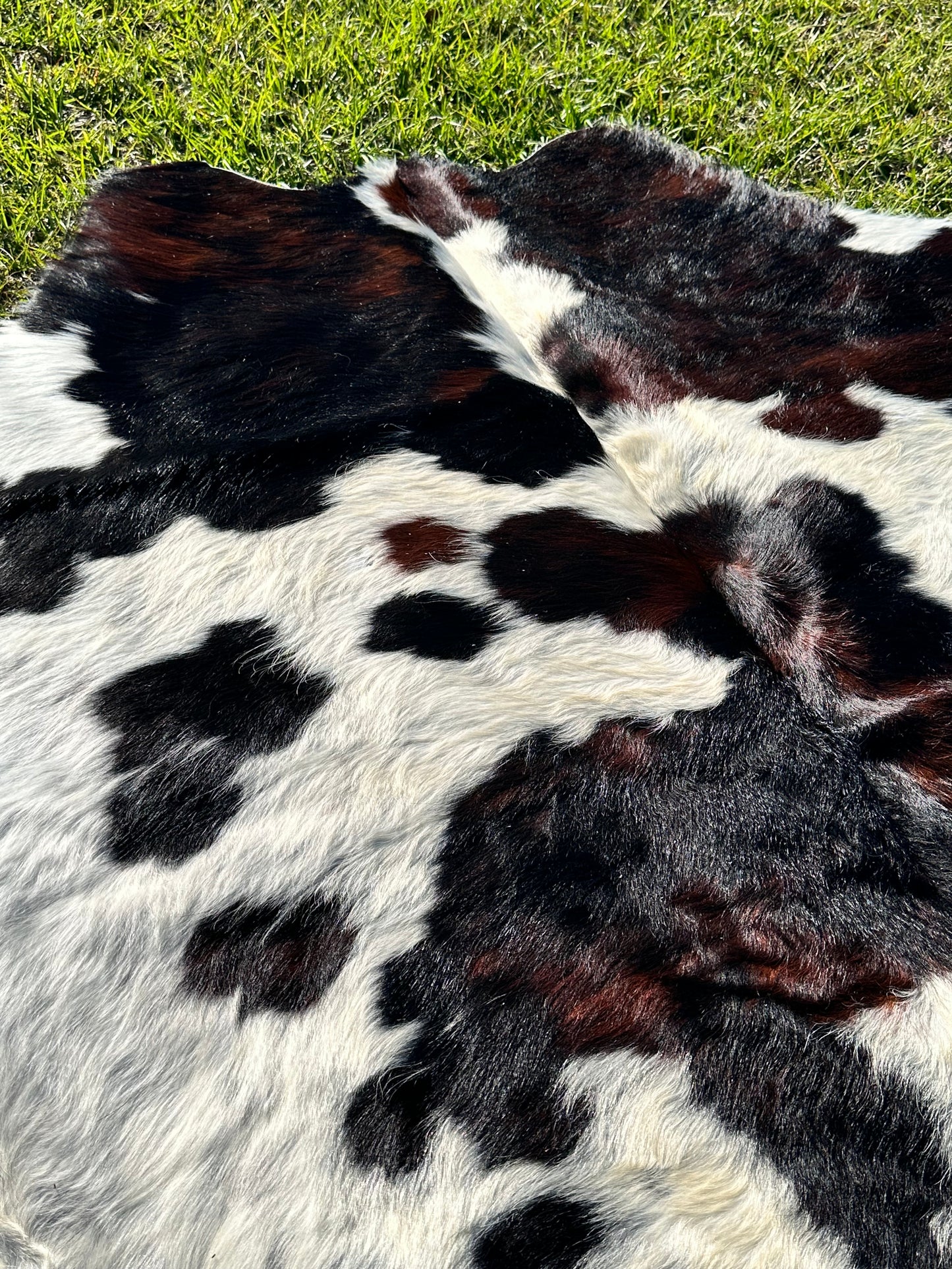 Tricolor cowhide #107