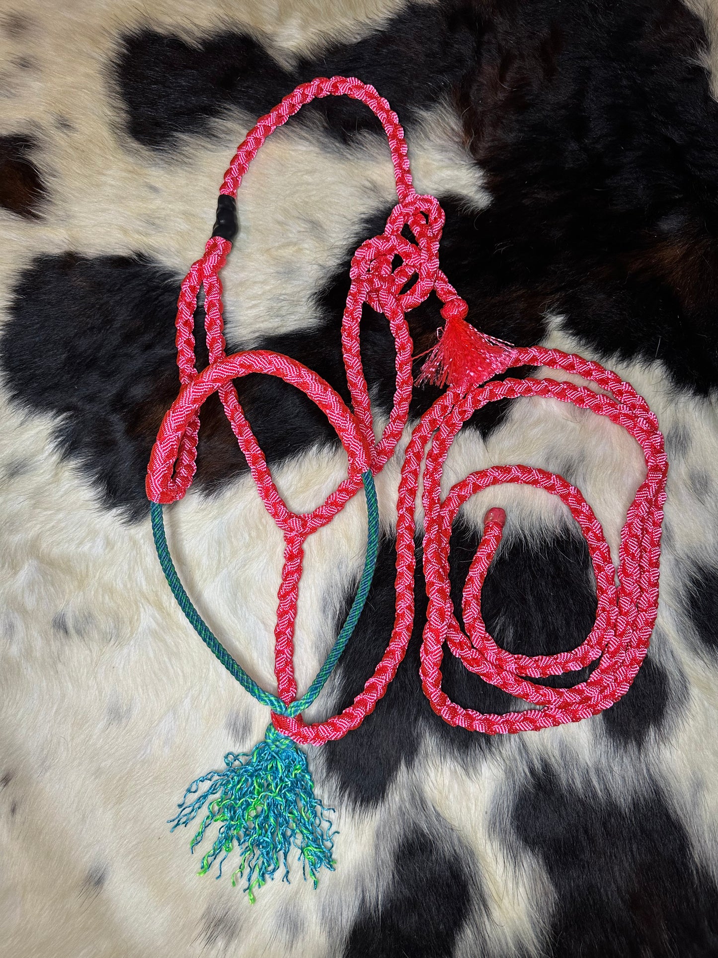 Mule tape halter - Pre order