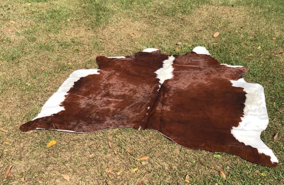 6’2” x 7’1” Cowhide