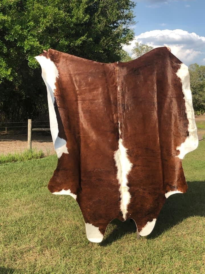 6’2” x 7’1” Cowhide