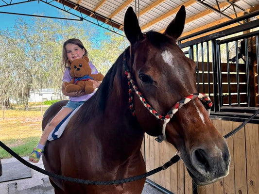 Mule tape halter (Standard size)- Pre order