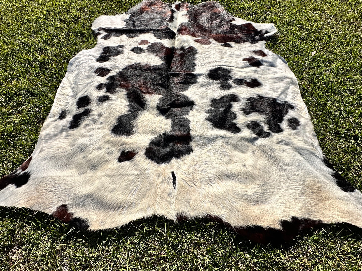 Tricolor cowhide #107