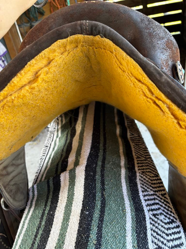 14.5” Bob Marshall sports saddle