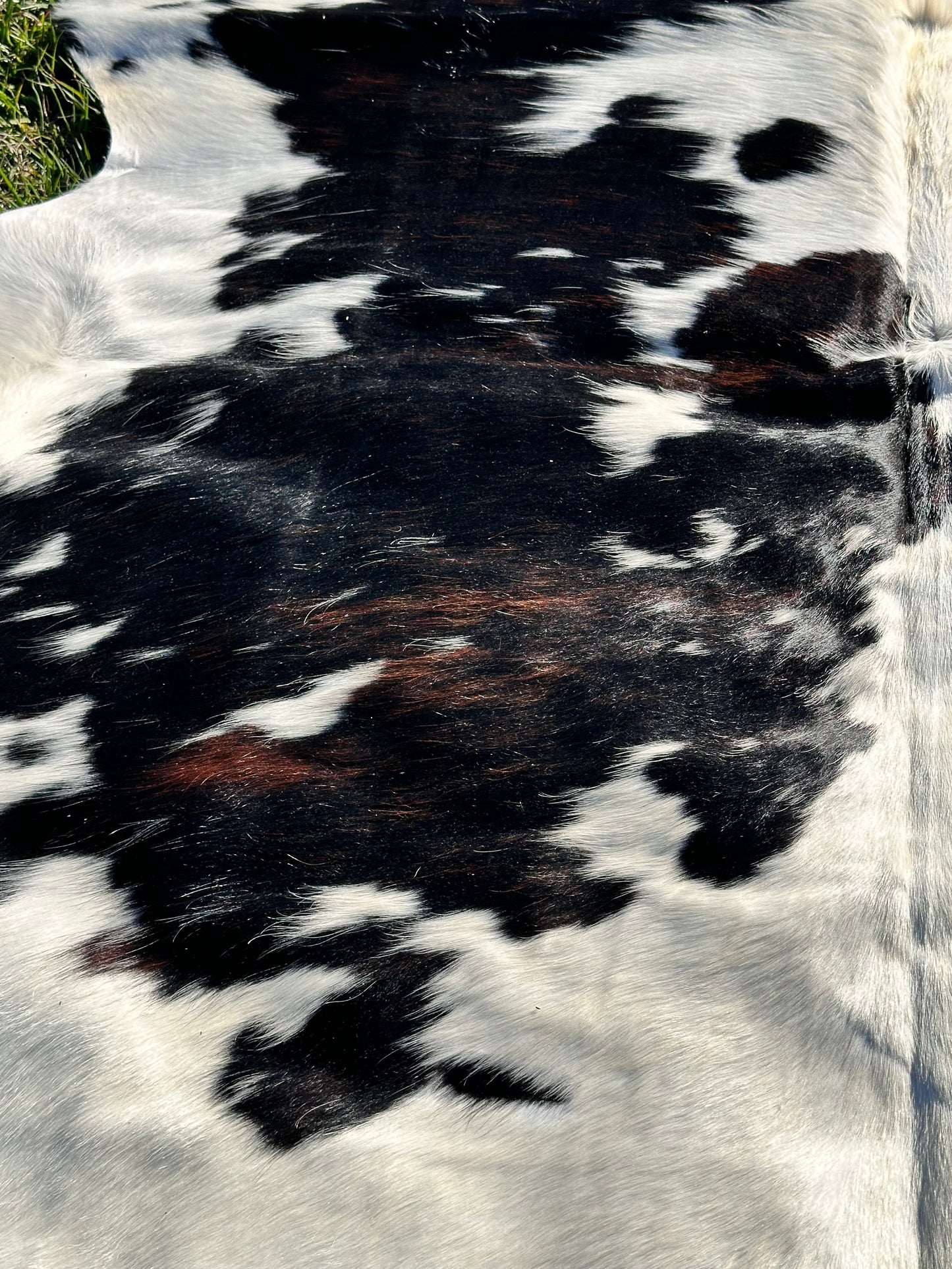 Tricolor cowhide #105