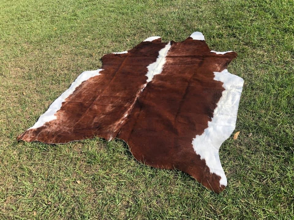 6’2” x 7’1” Cowhide