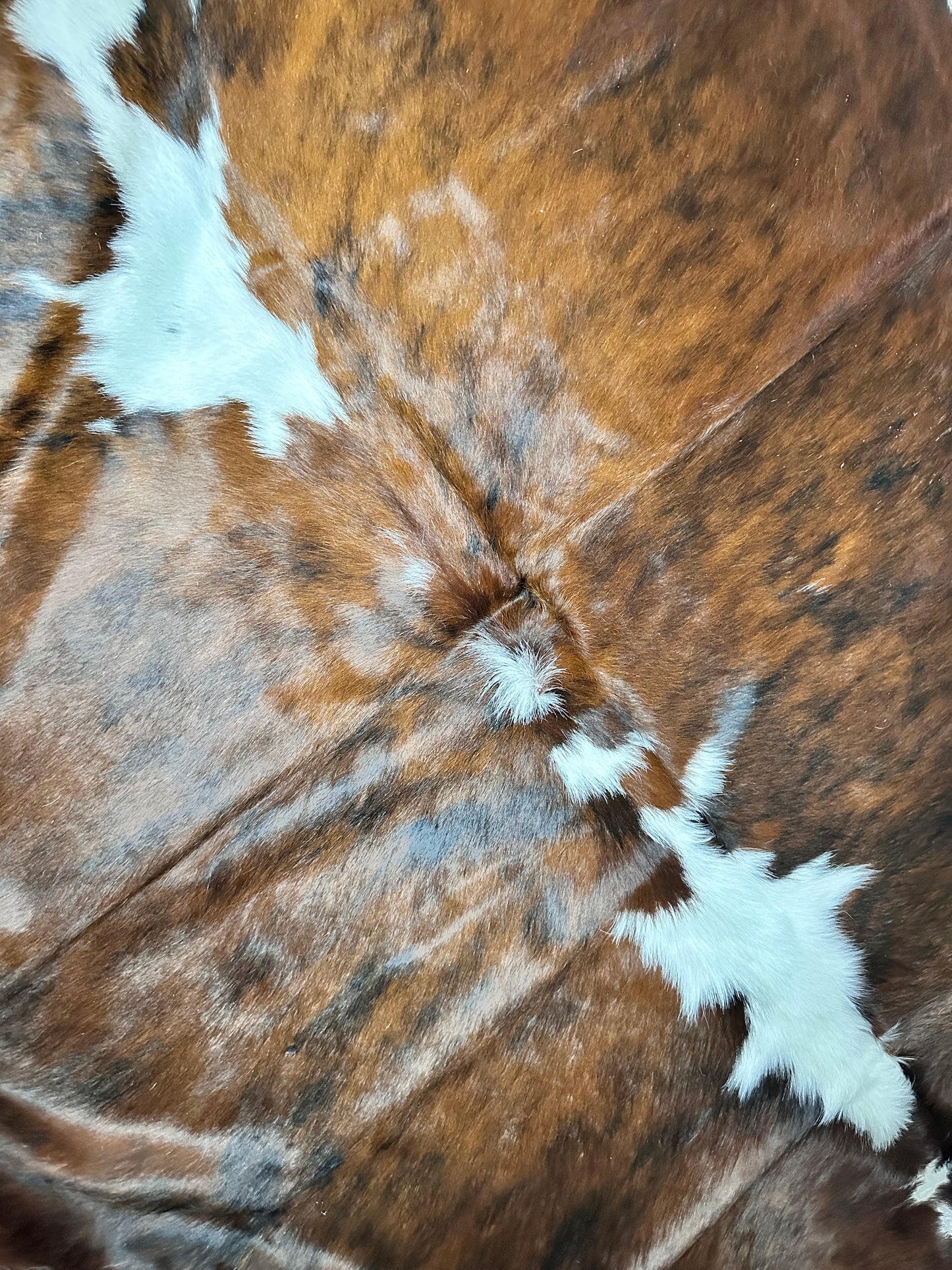White Belly cowhide #109
