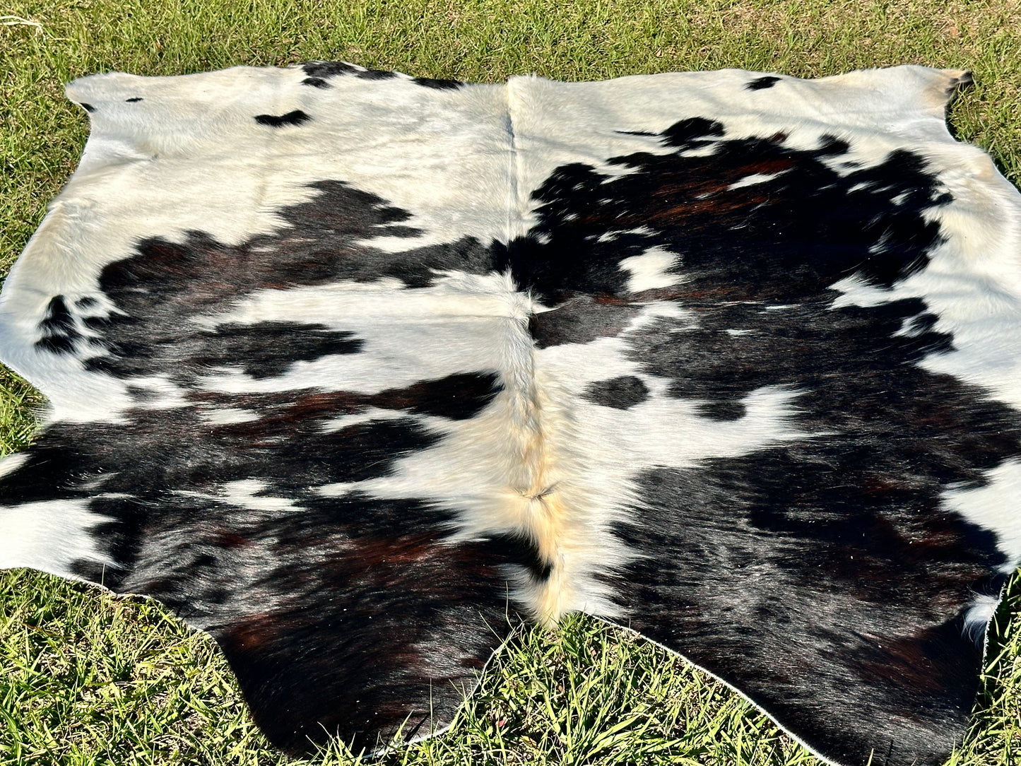 Tricolor cowhide #105