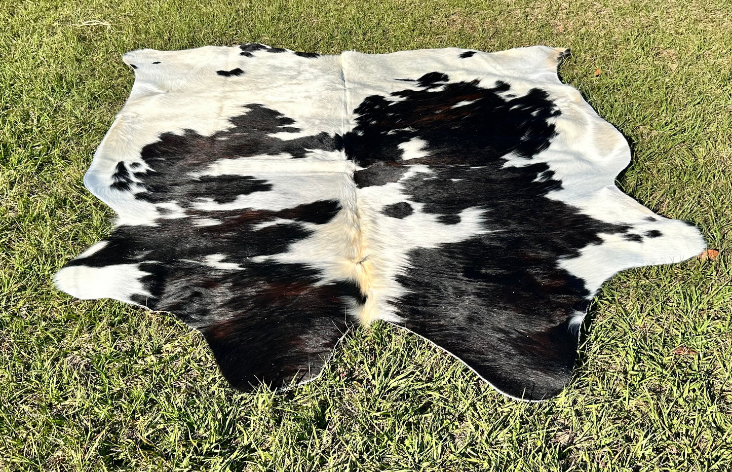 Tricolor cowhide #105