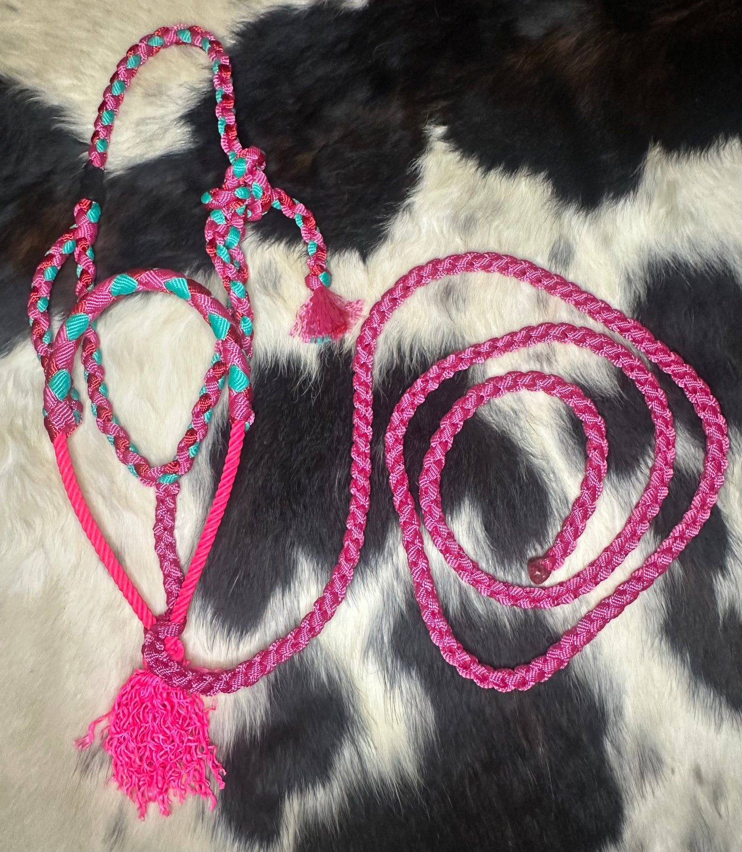 Mule tape halter (Yearling size) - pre order