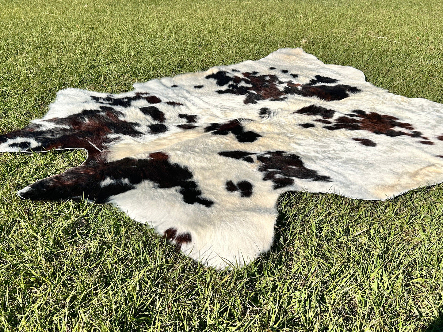 Tricolor cowhide #106