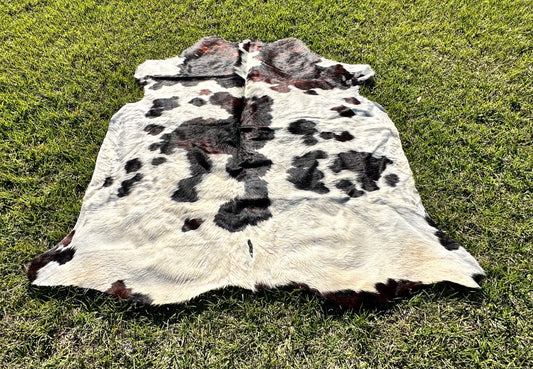 Tricolor cowhide #107