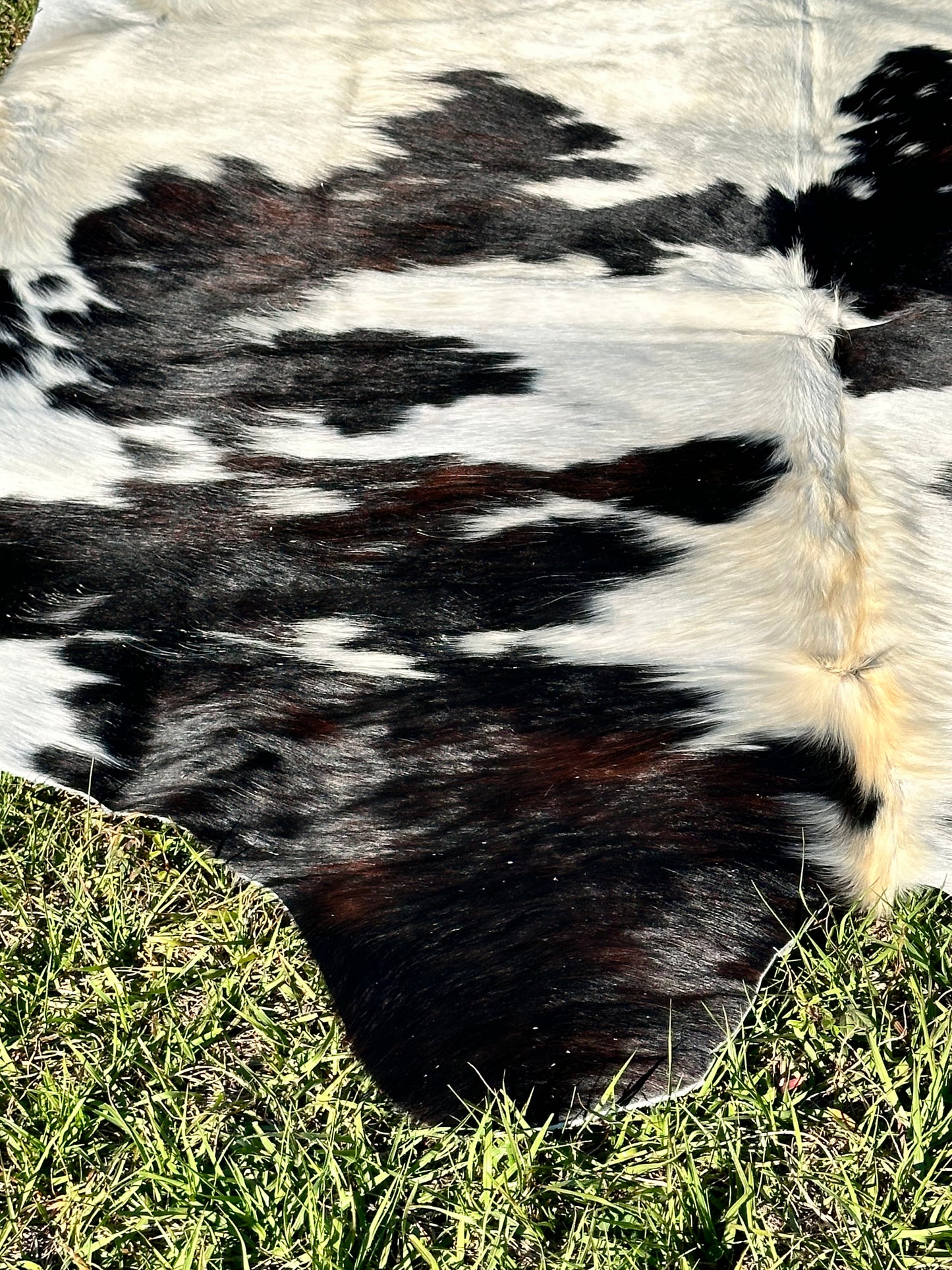 Tricolor cowhide #105