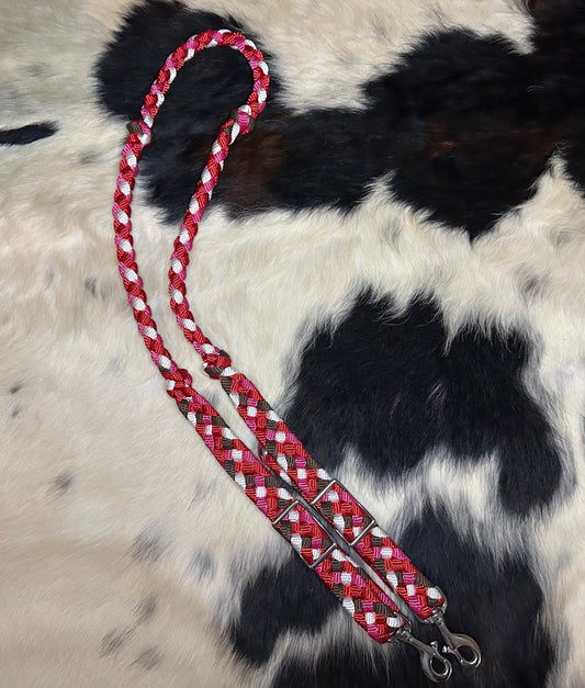 Reins101