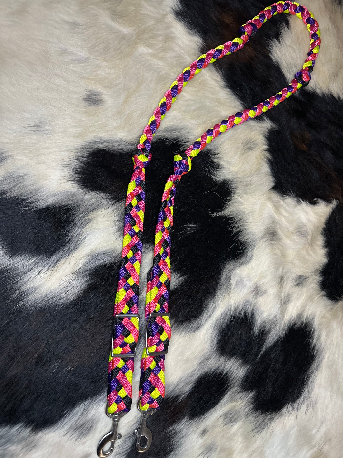Reins99